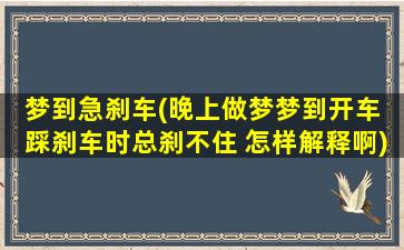 梦到急刹车(晚上做梦梦到开车 踩刹车时总刹不住 怎样解释啊)